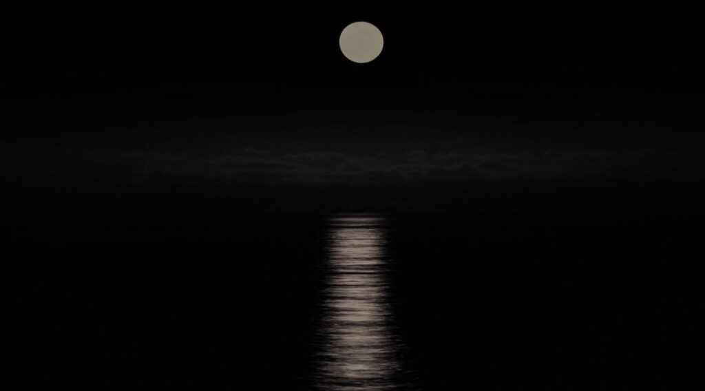 Moonlight Serenade