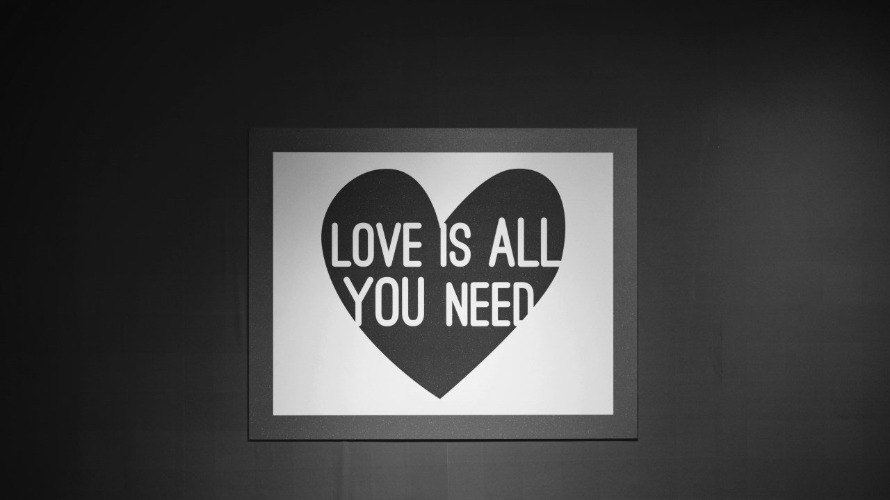 all-you-need-is-love